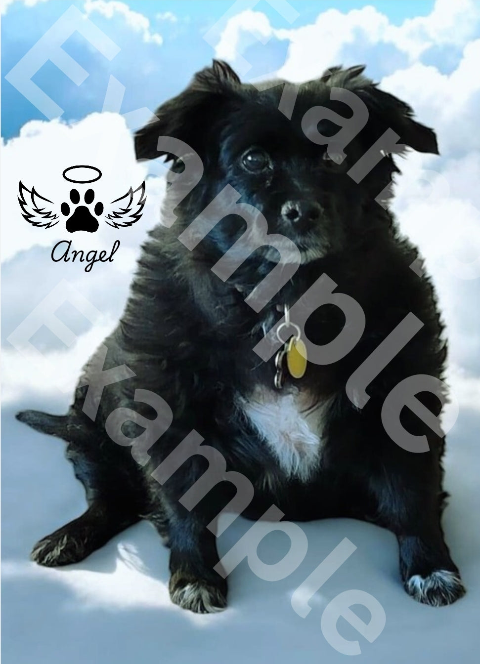 Custom Pet Memorial Slates